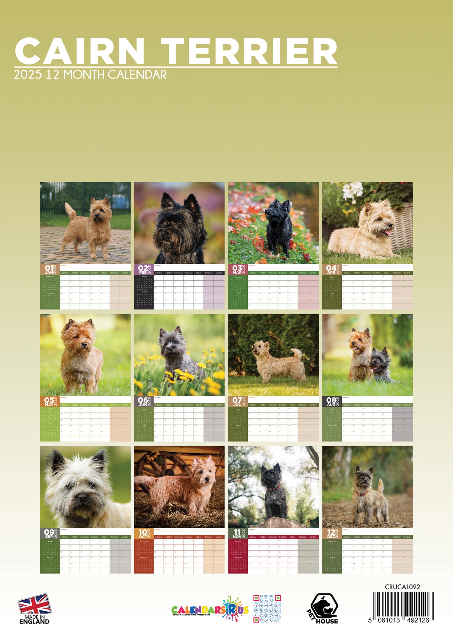 Cairn Terrier Calendar 2025