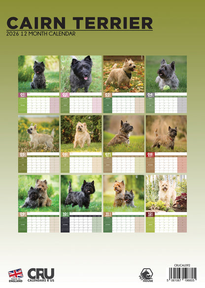Cairn Terrier - A3 Calendar 2026