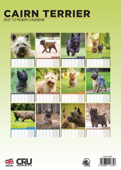 Cairn Terrier - A3 Calendar 2027