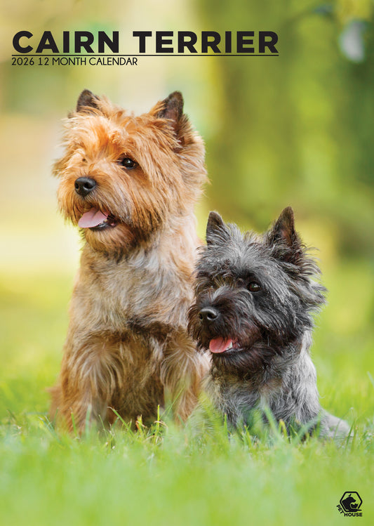 Cairn Terrier - A3 Calendar 2026