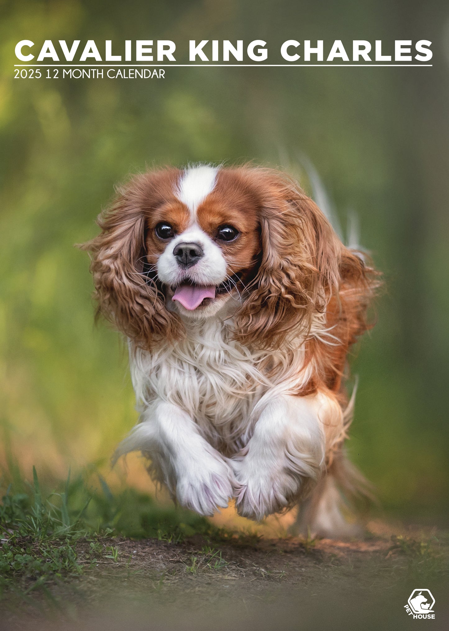 Cavalier King Charles Calendar 2025 CalendarsRus Cavalier King Charles Calendar 2025 CalendarsRus