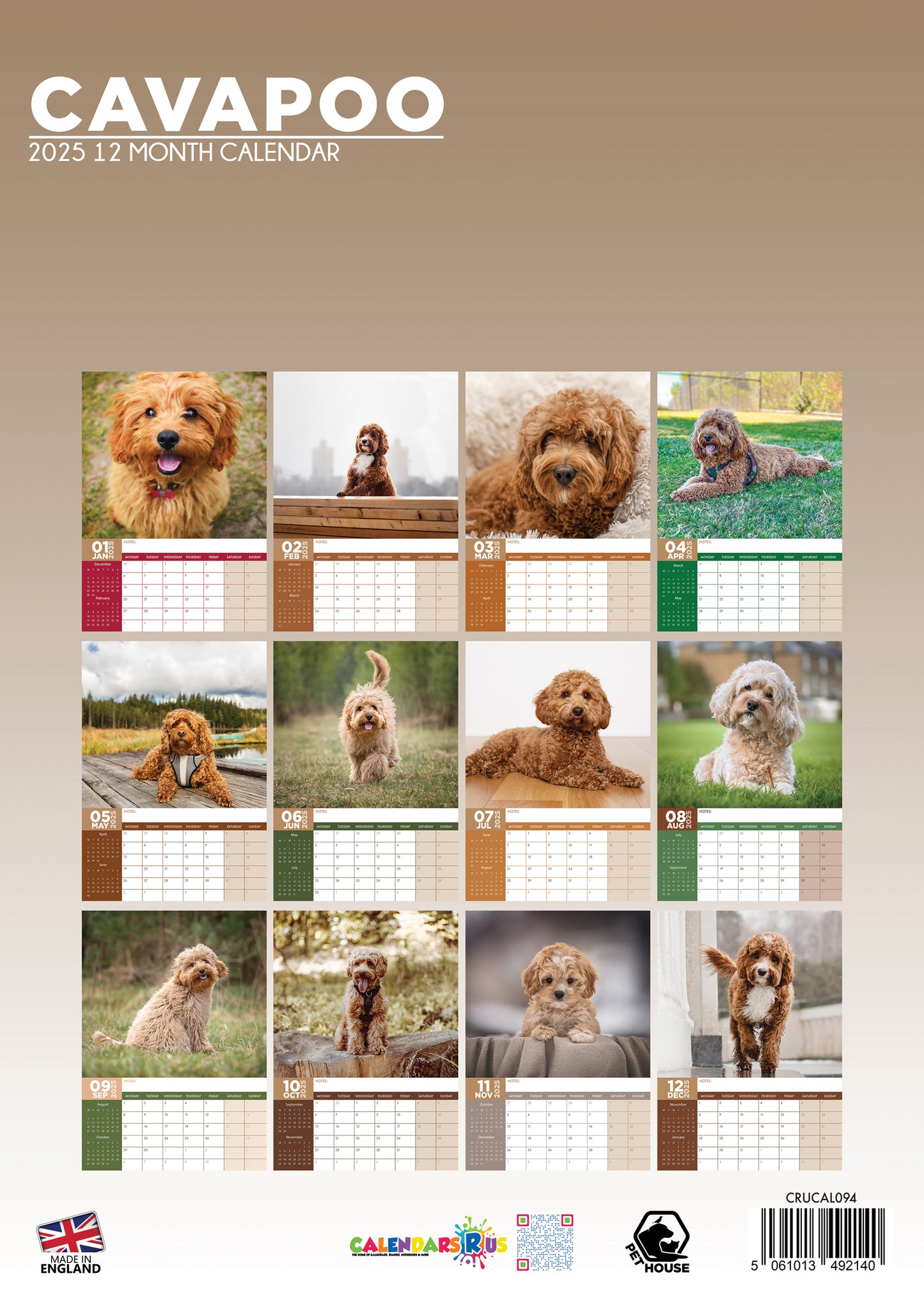 Cavapoo Calendar 2025