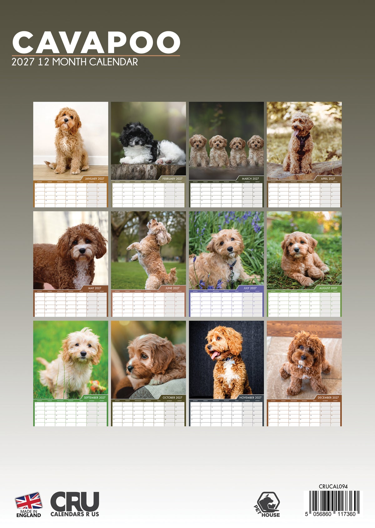 Cavapoo - A3 Calendar 2027