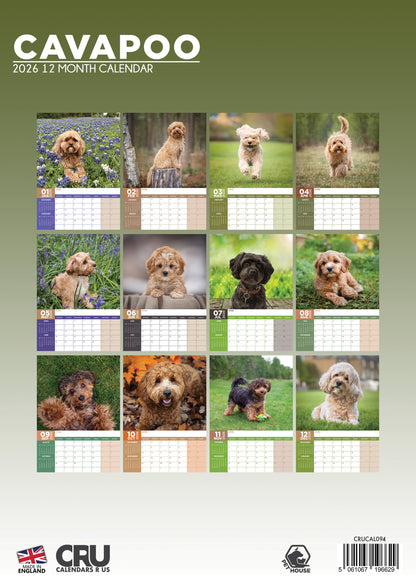 Cavapoo - A3 Calendar 2026