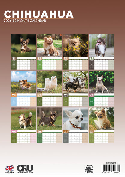 Chihuahua - A3 Calendar 2026