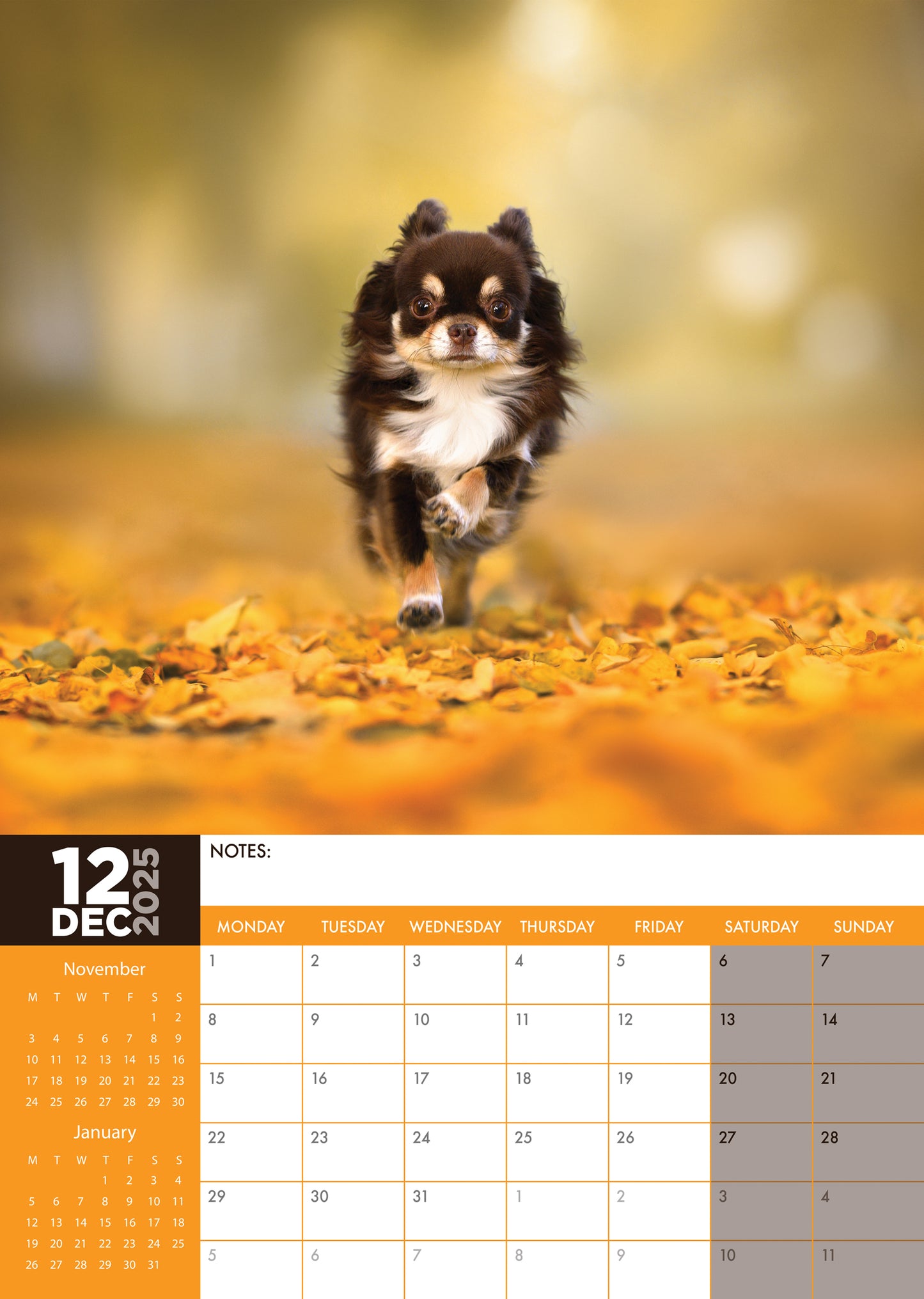 Chihuahua Calendar 2025