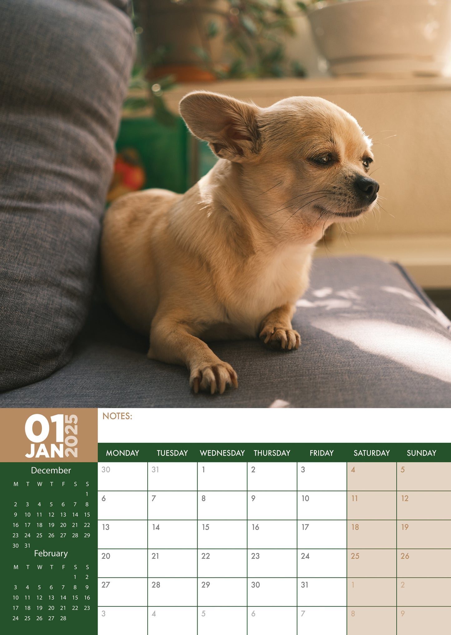 Chihuahua Calendar 2025