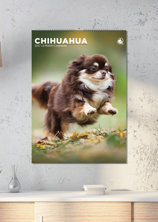 Chihuahua - A3 Calendar 2027