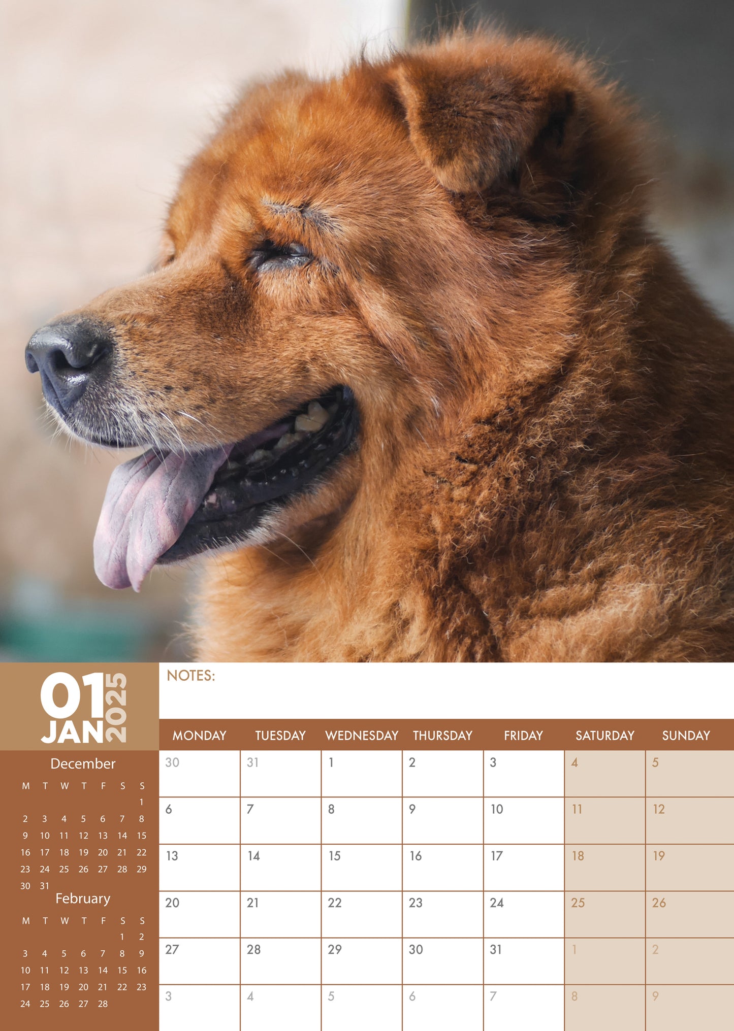 Chow Chow Calendar 2025