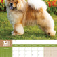 Chow Chow Calendar 2025