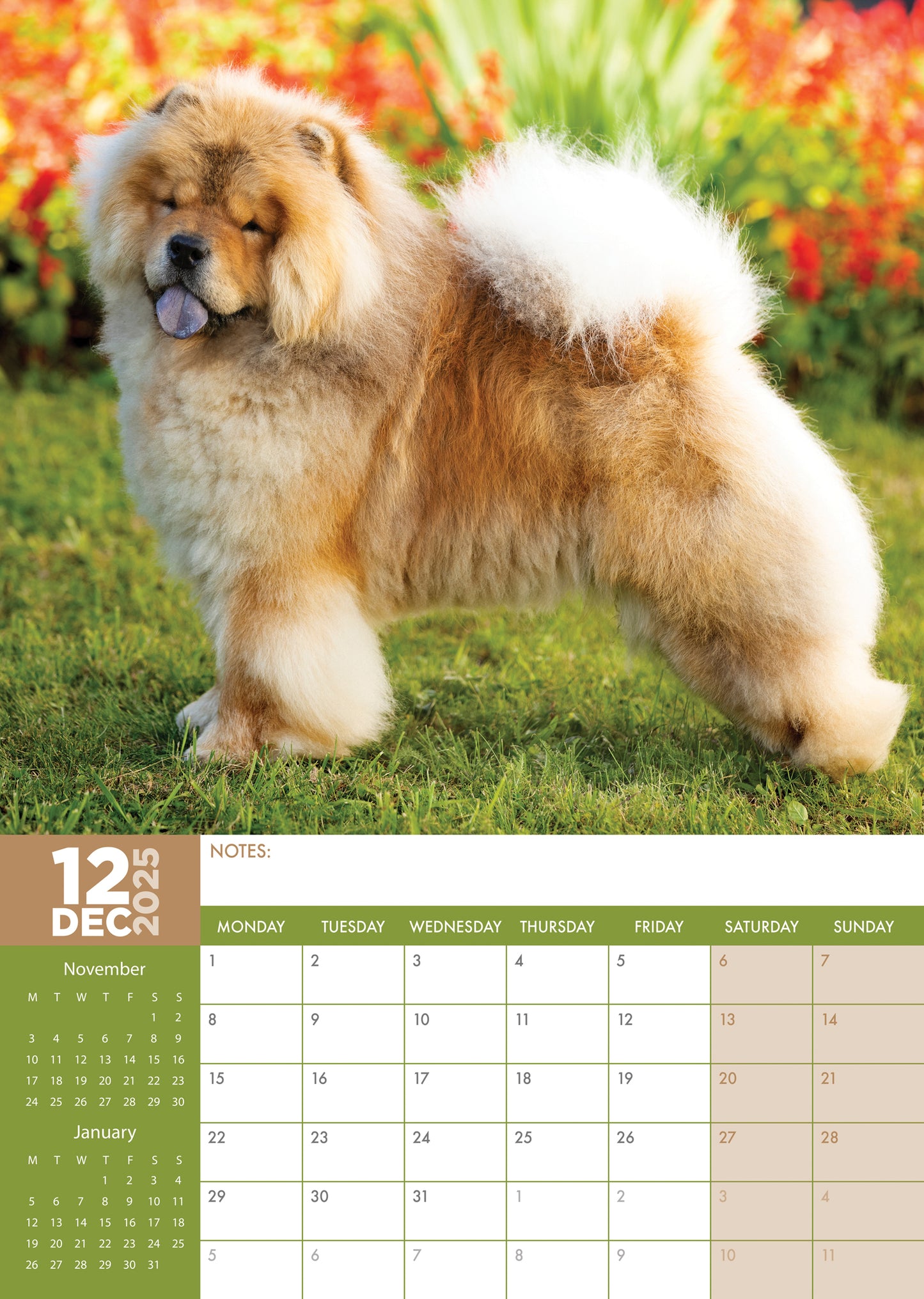 Chow Chow Calendar 2025