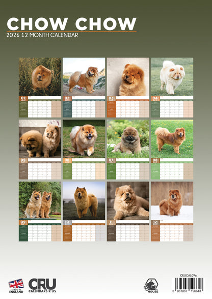 Chow Chow - A3 Calendar 2026