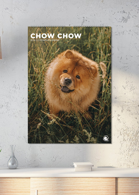 Chow Chow - A3 Calendar 2026