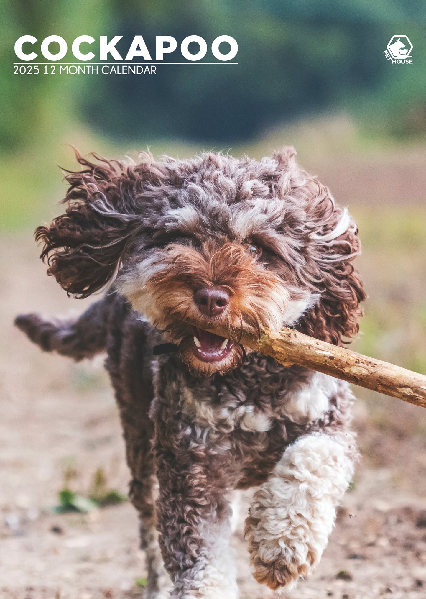 Cockapoo Calendar 2025