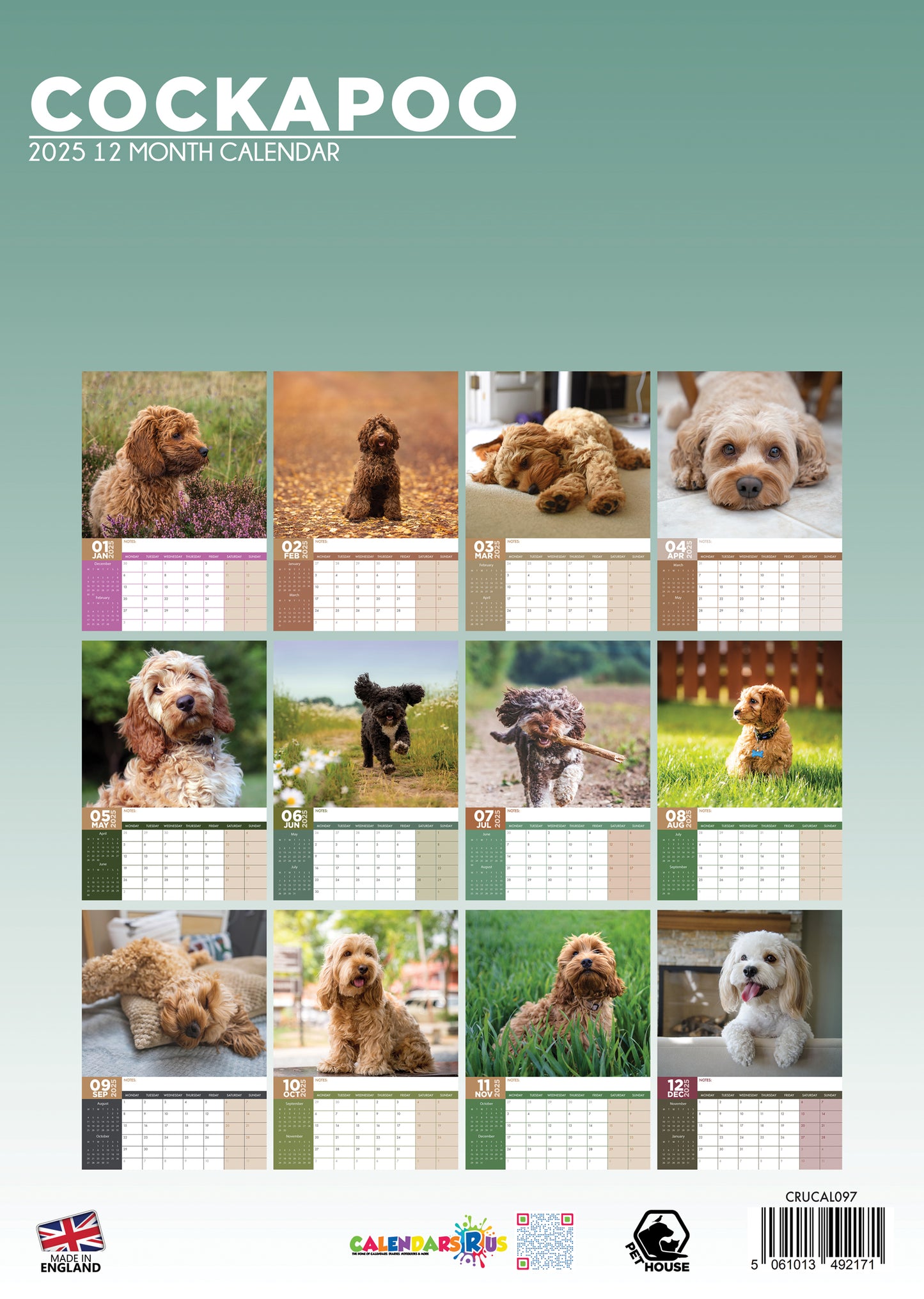 Cockapoo Calendar 2025