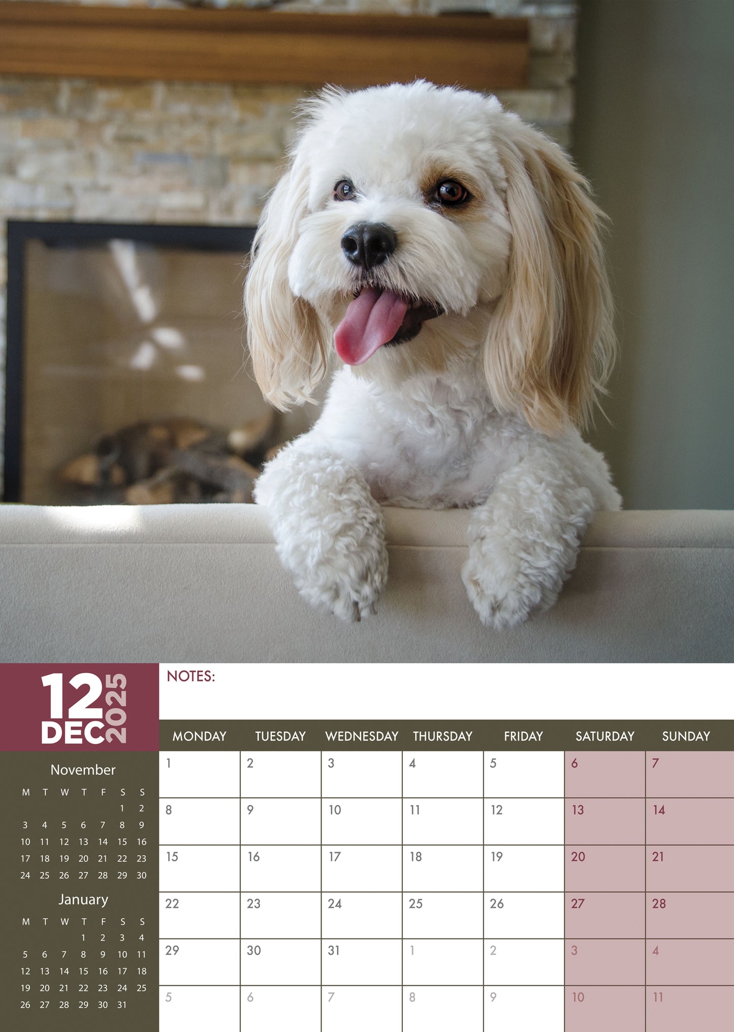 Cockapoo Calendar 2025