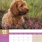 Cockapoo Calendar 2025