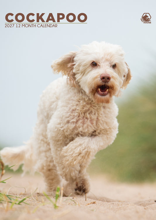 Cockapoo - A3 Calendar 2027