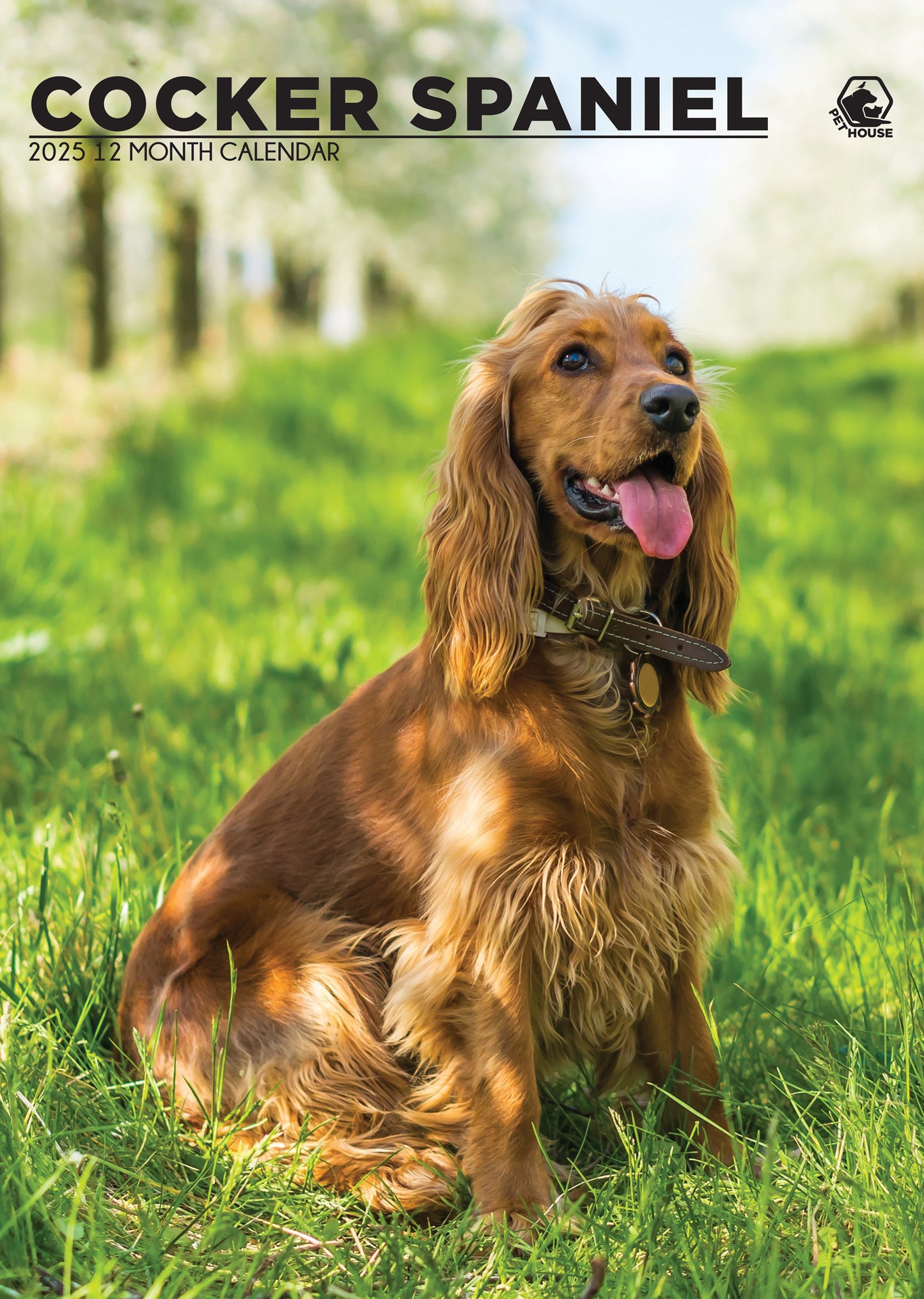 Cocker Spaniel Calendar 2025 CalendarsRus