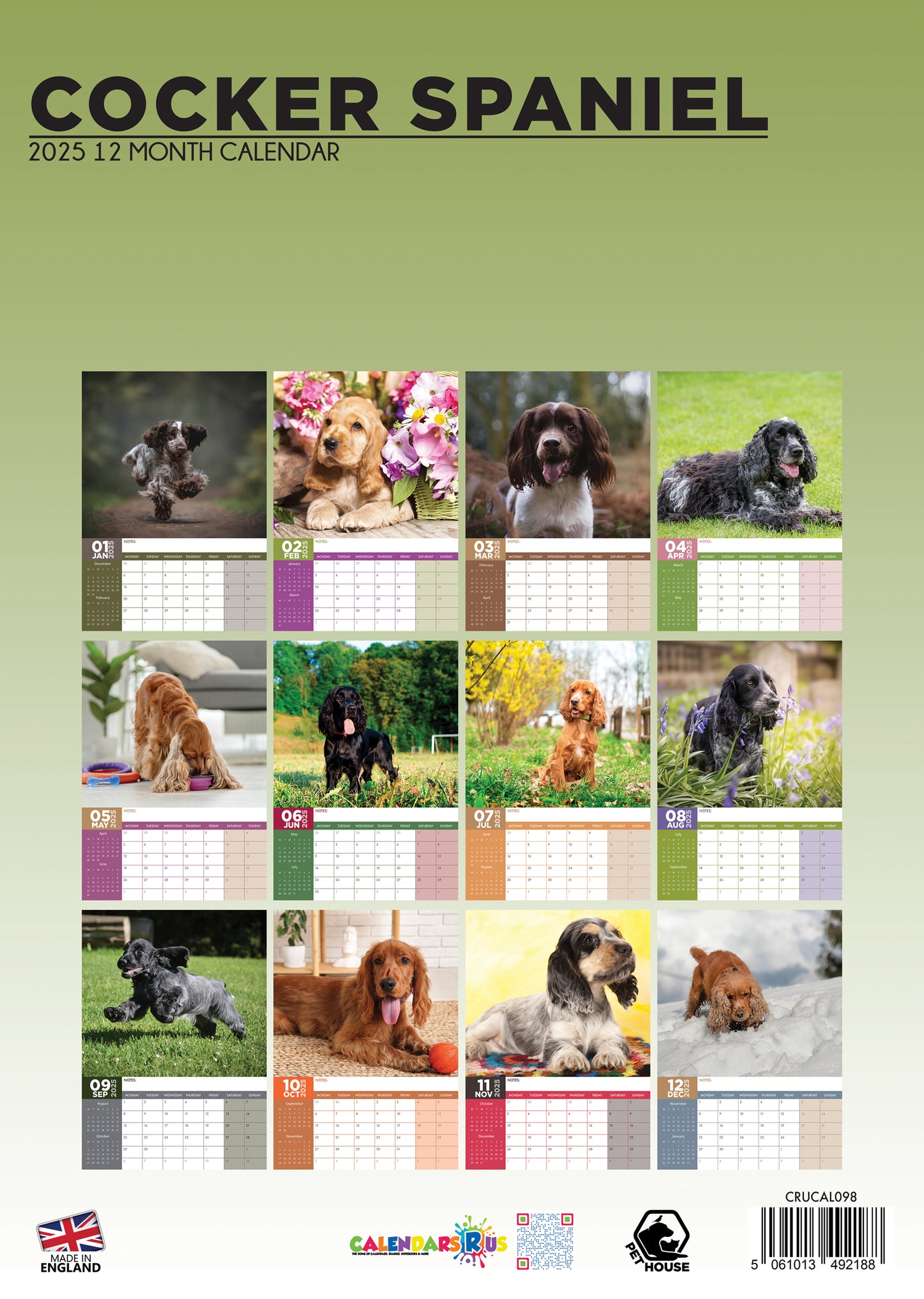 Cocker Spaniel Calendar 2025