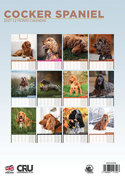 Cocker Spaniel - A3 Calendar 2027