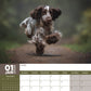 Cocker Spaniel Calendar 2025