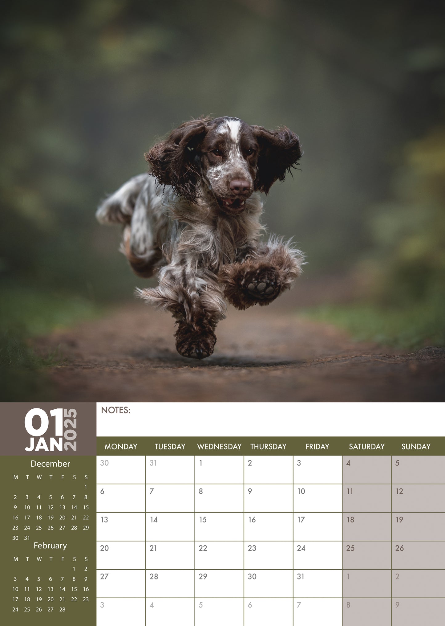 Cocker Spaniel Calendar 2025