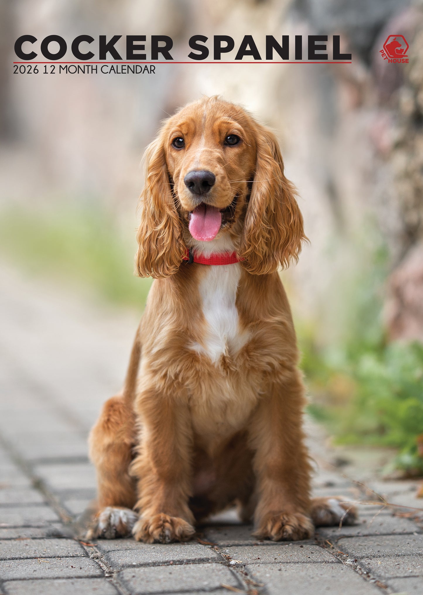 Cocker Spaniel - A3 Wholesale