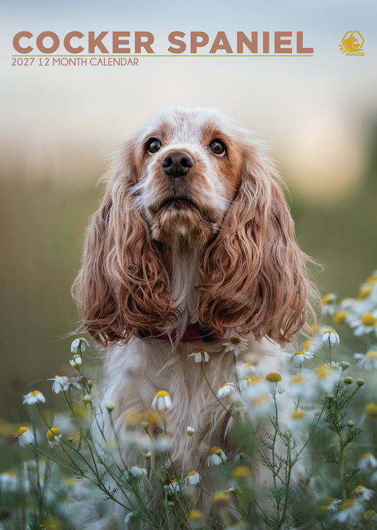 Cocker Spaniel - A3 Calendar 2027