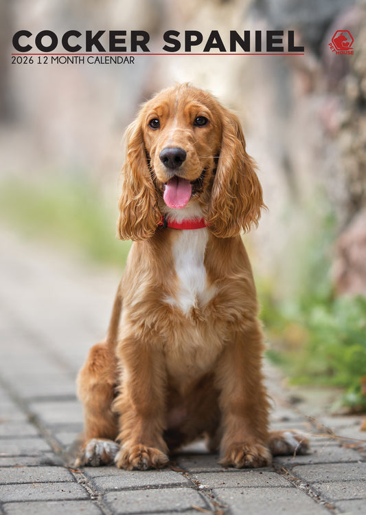 Cocker Spaniel - A3 Calendar 2026