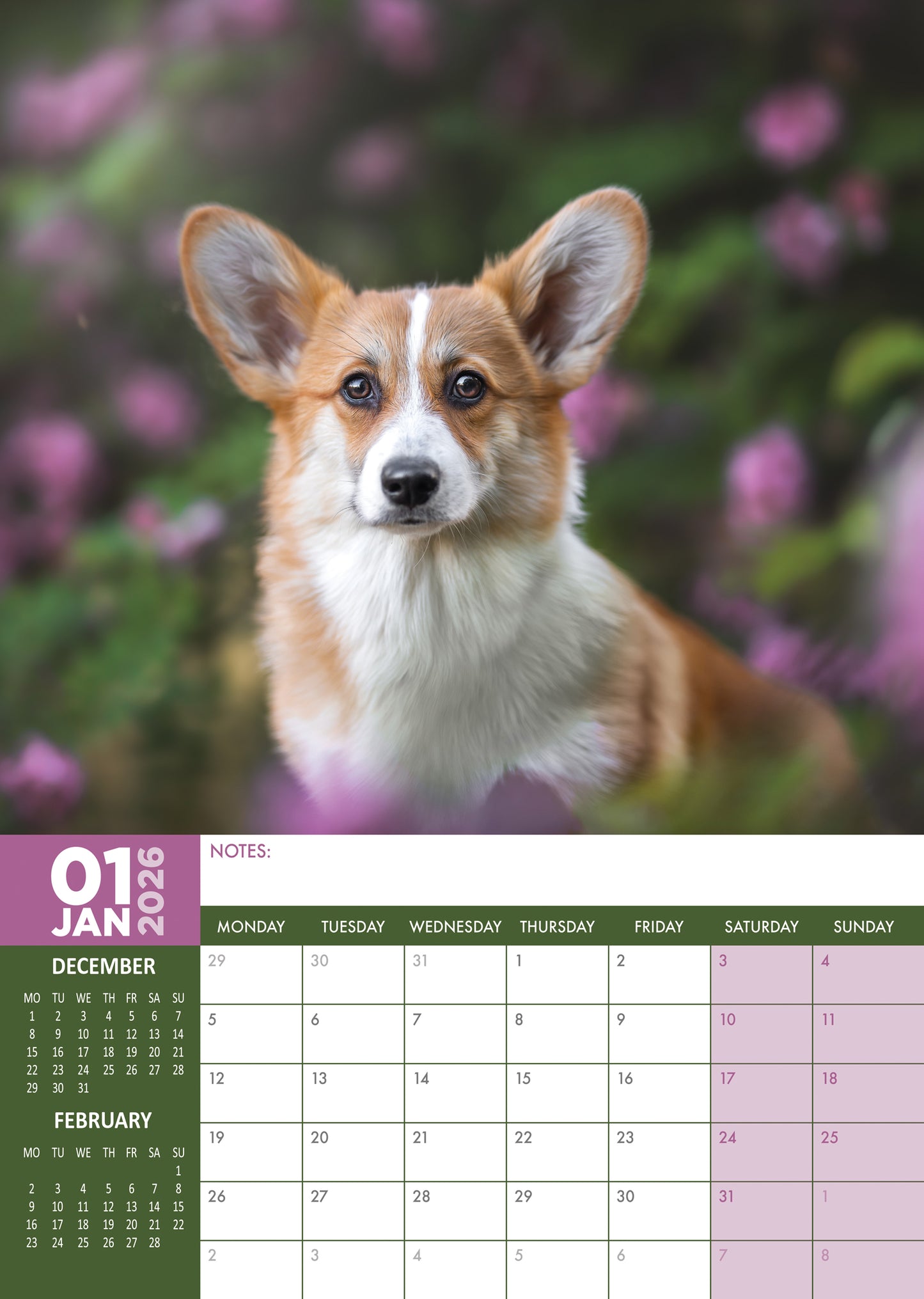 Corgi - A3 Calendar 2026