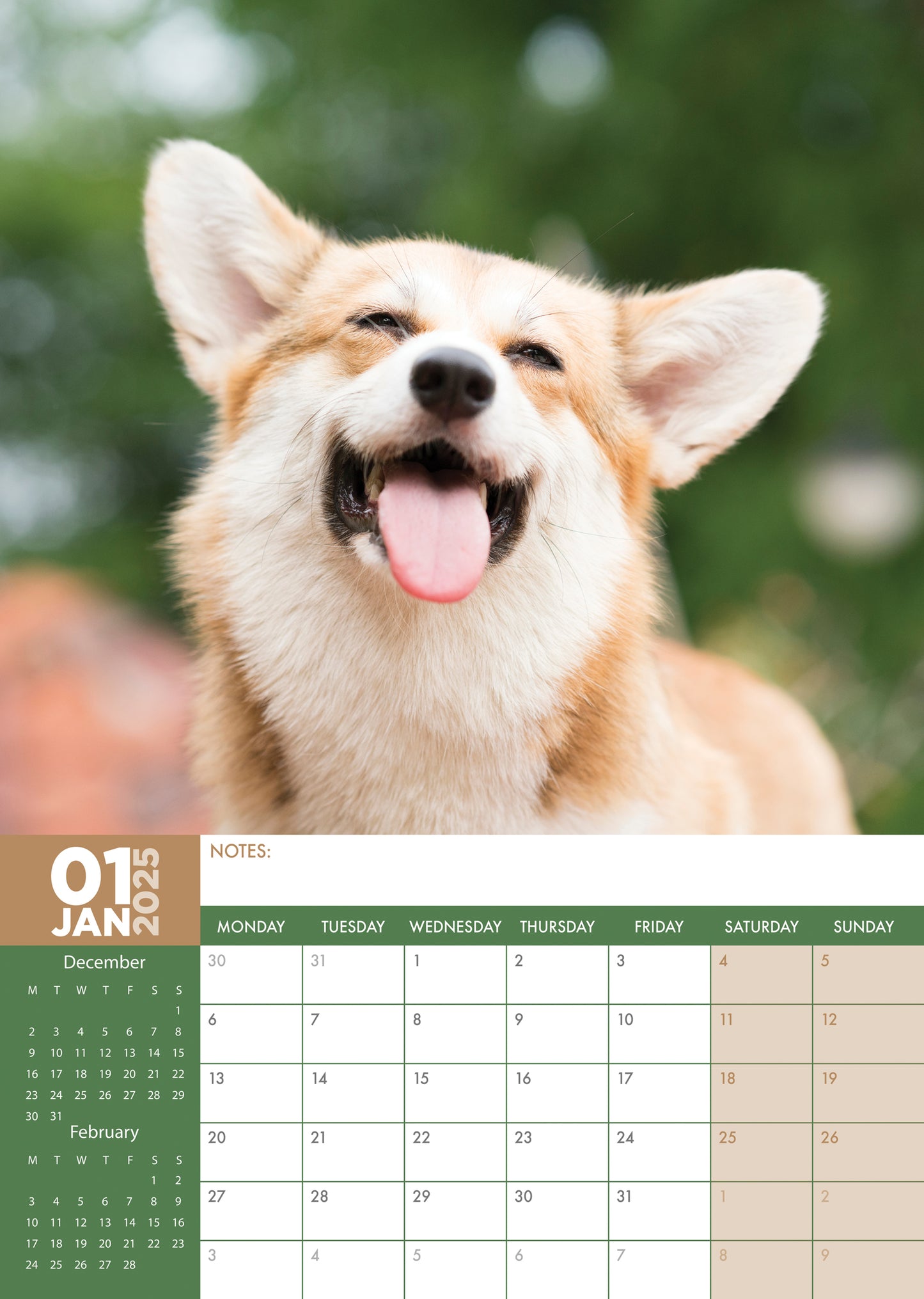 Corgi Calendar 2025