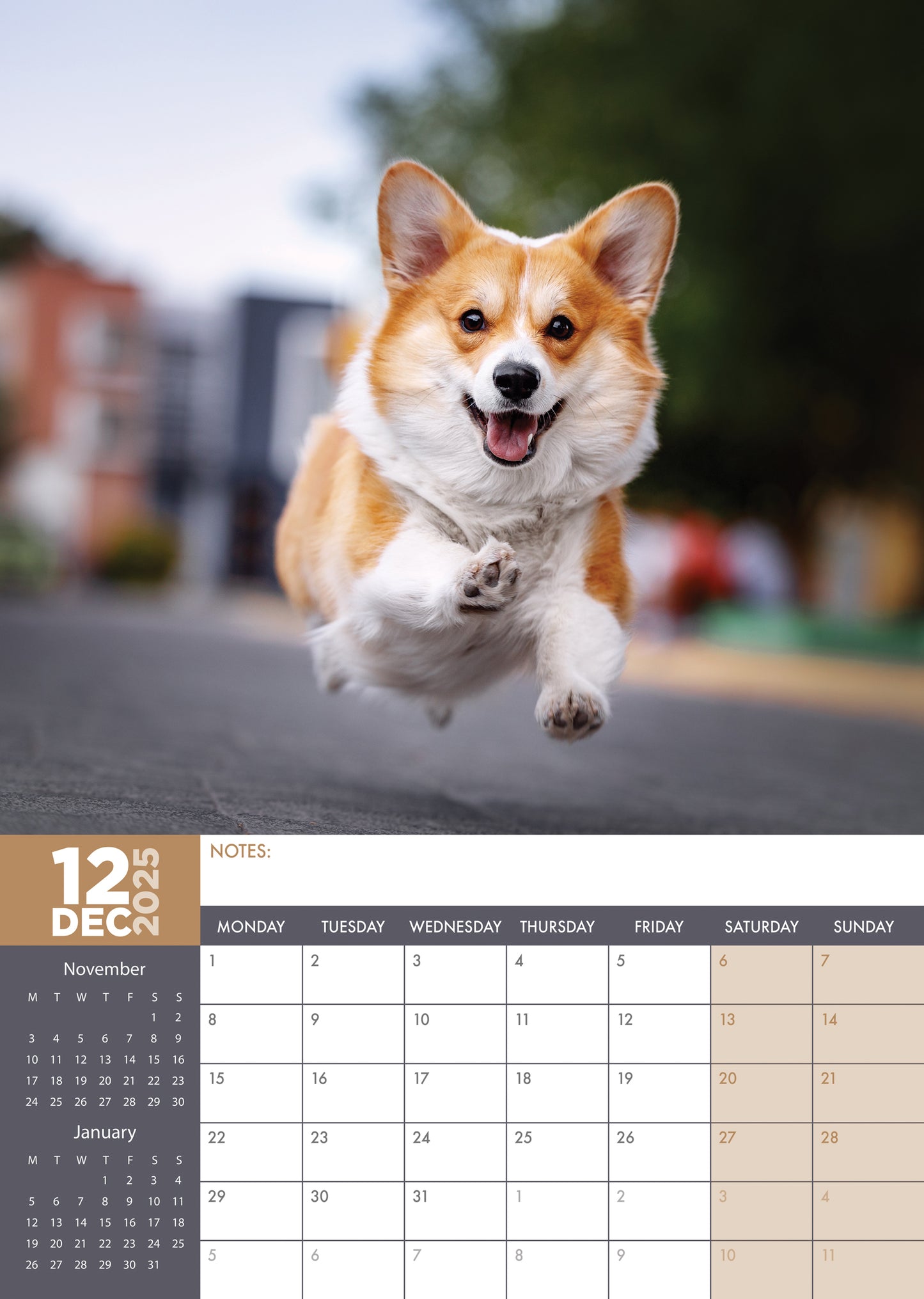 Corgi Calendar 2025