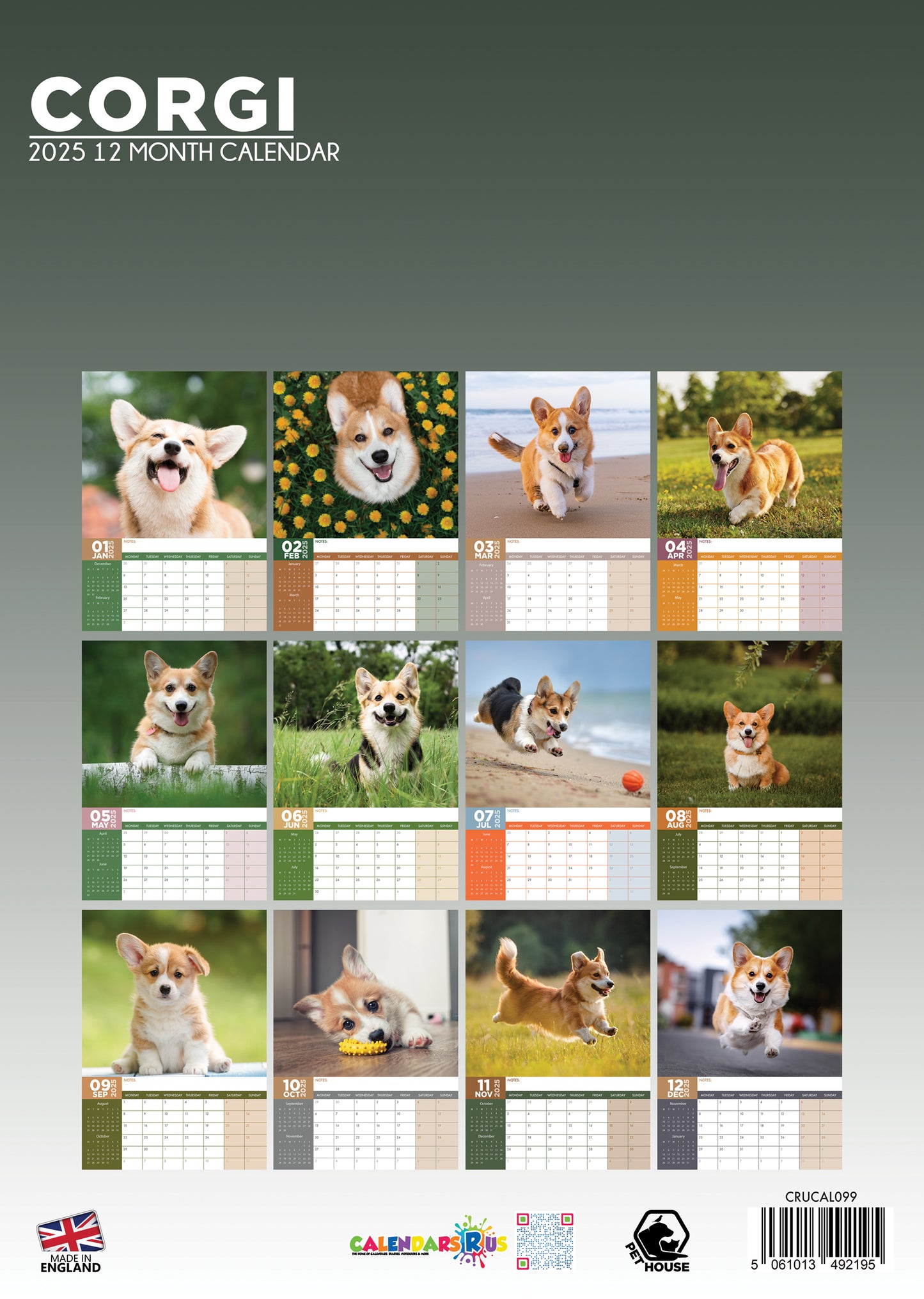 Corgi Calendar 2025