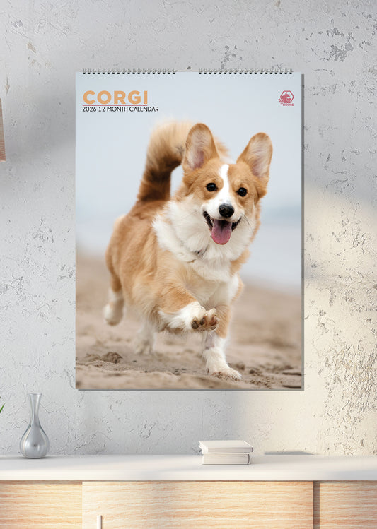 Corgi - A3 Calendar 2026