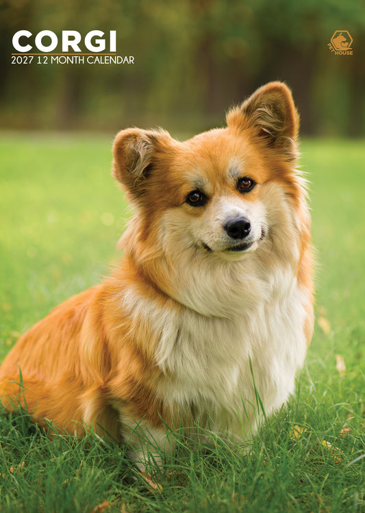 Corgi - A3 Calendar 2027