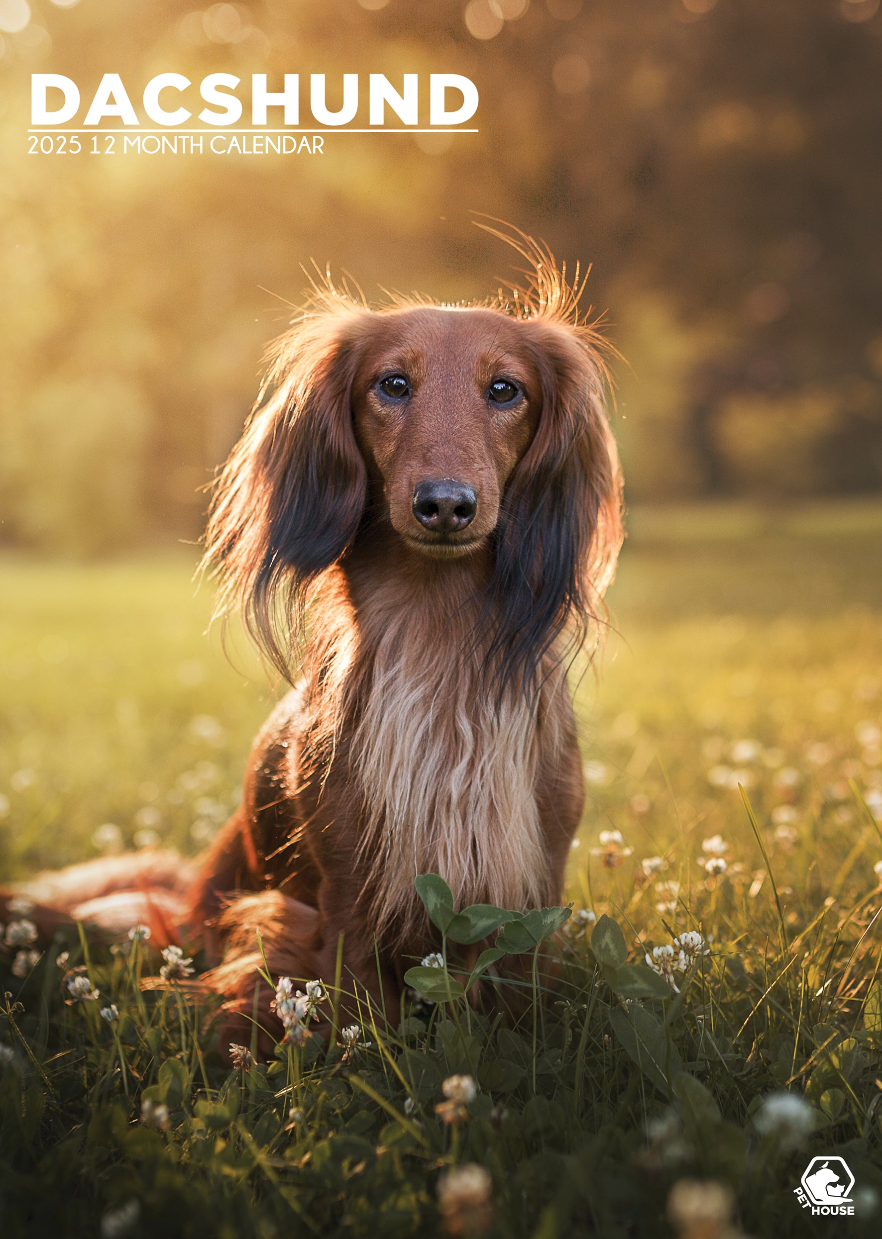 2025 Dachshund Wall Calendar