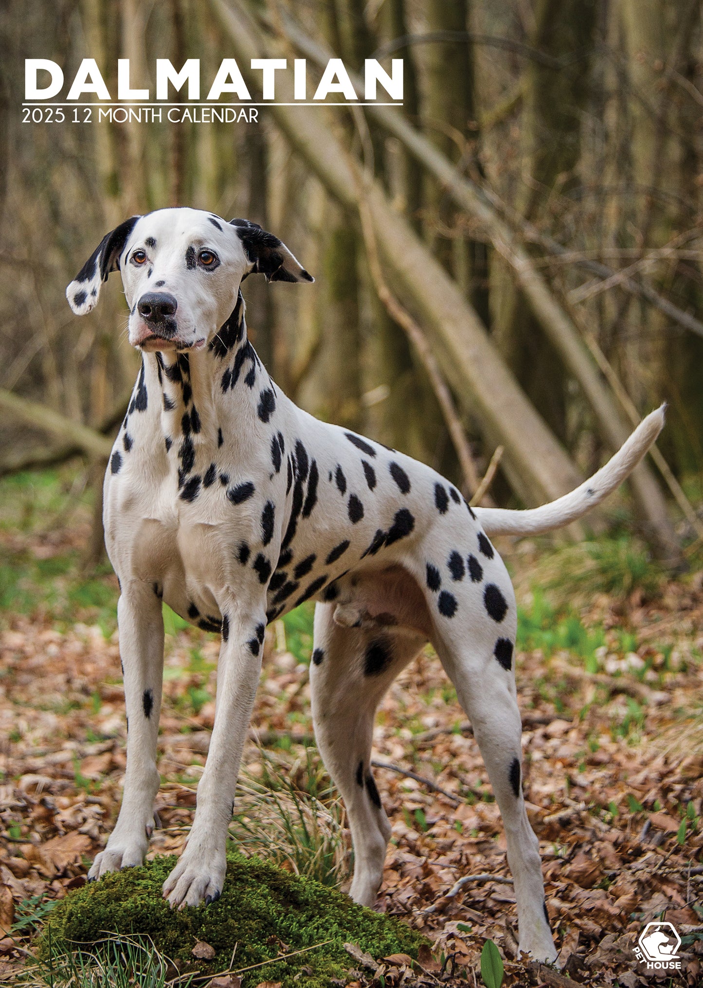 Dalmatian Calendar 2025