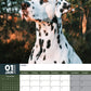 Dalmatian Calendar 2025