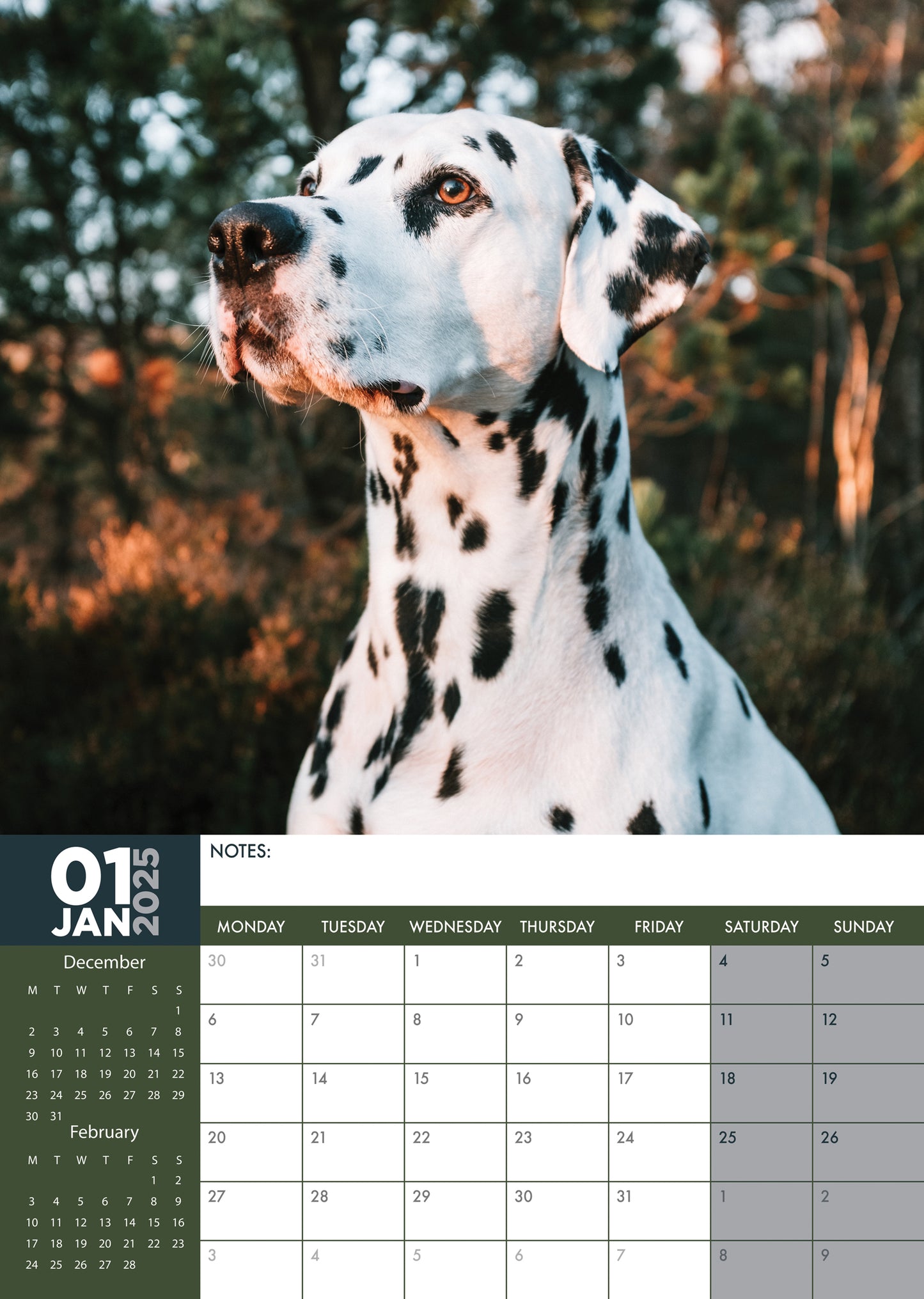 Dalmatian Calendar 2025