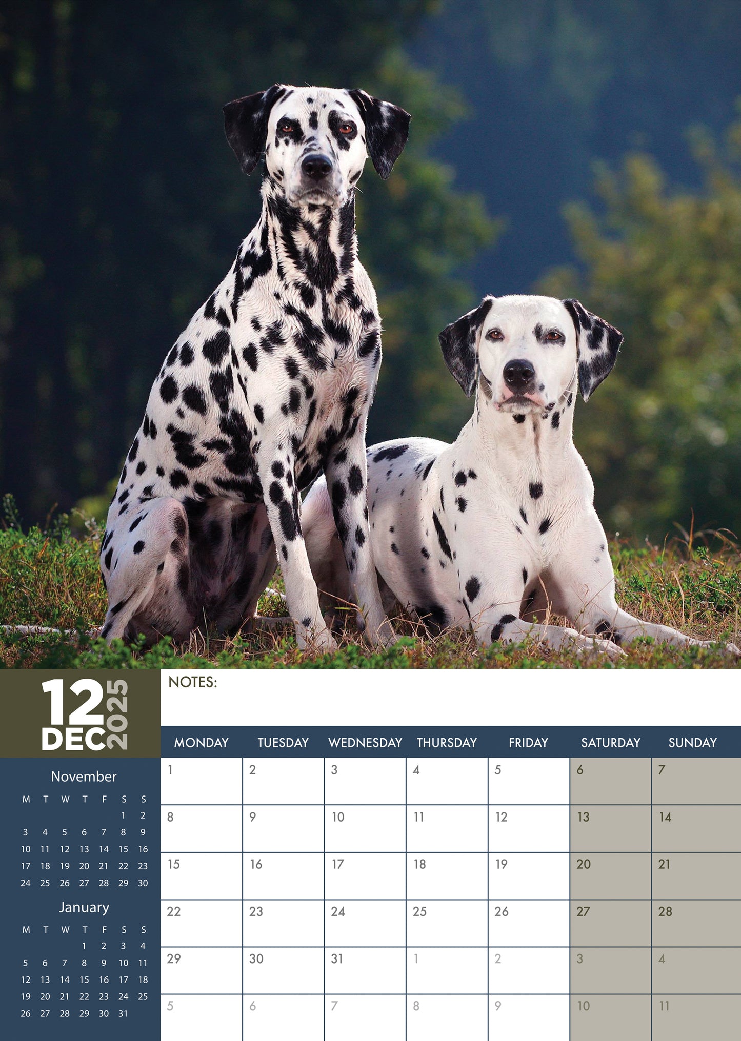 Dalmatian Calendar 2025