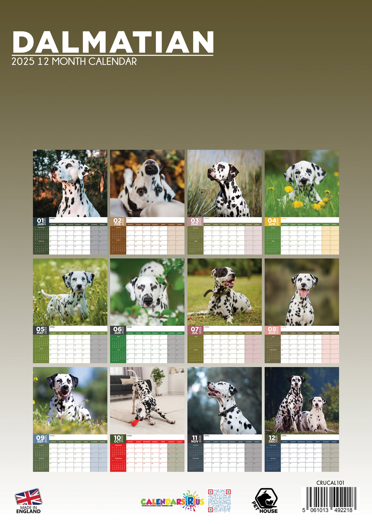 Dalmatian Calendar 2025