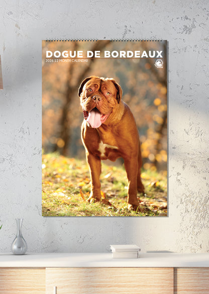 Dogue De Bordeaux - A3 Calendar 2025
