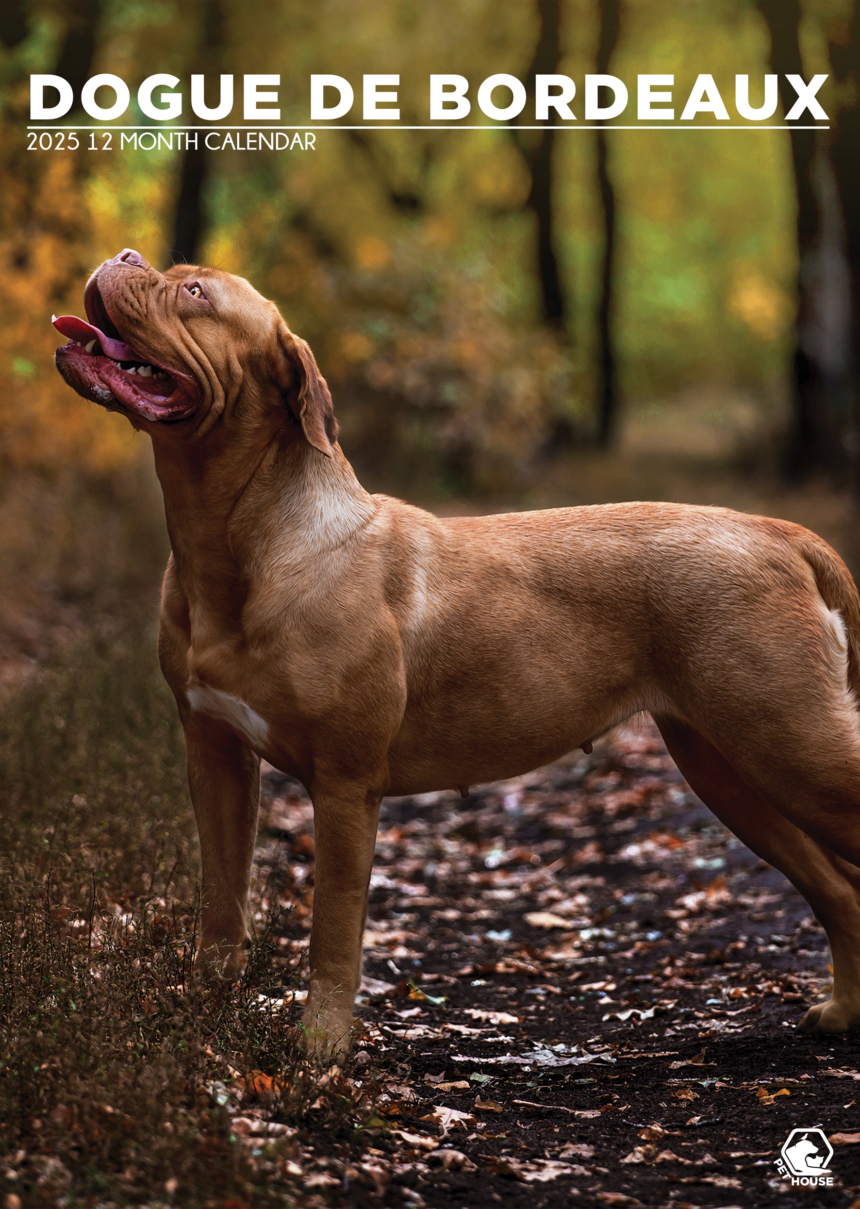 Dogue De Bordeaux Calendar 2025 CalendarsRus