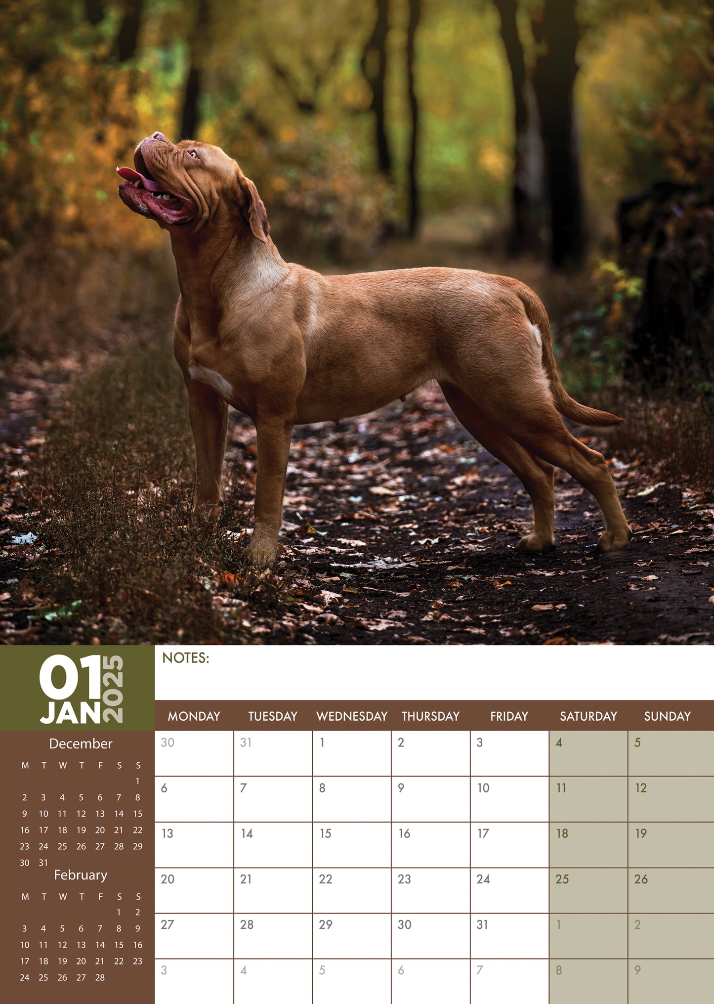 Dogue De Bordeaux Calendar 2025