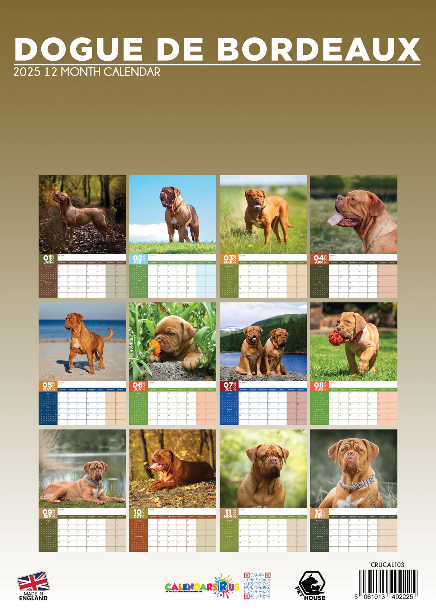 Dogue De Bordeaux Calendar 2025