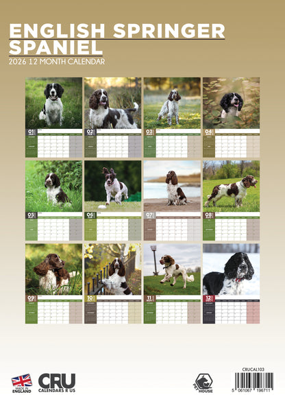 English Springer Spaniel - A3 Calendar 2026