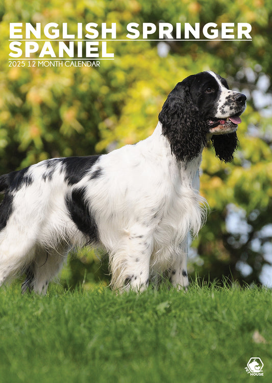 English Springer Spaniel Calendar 2025