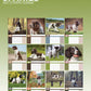 English Springer Spaniel Calendar 2025