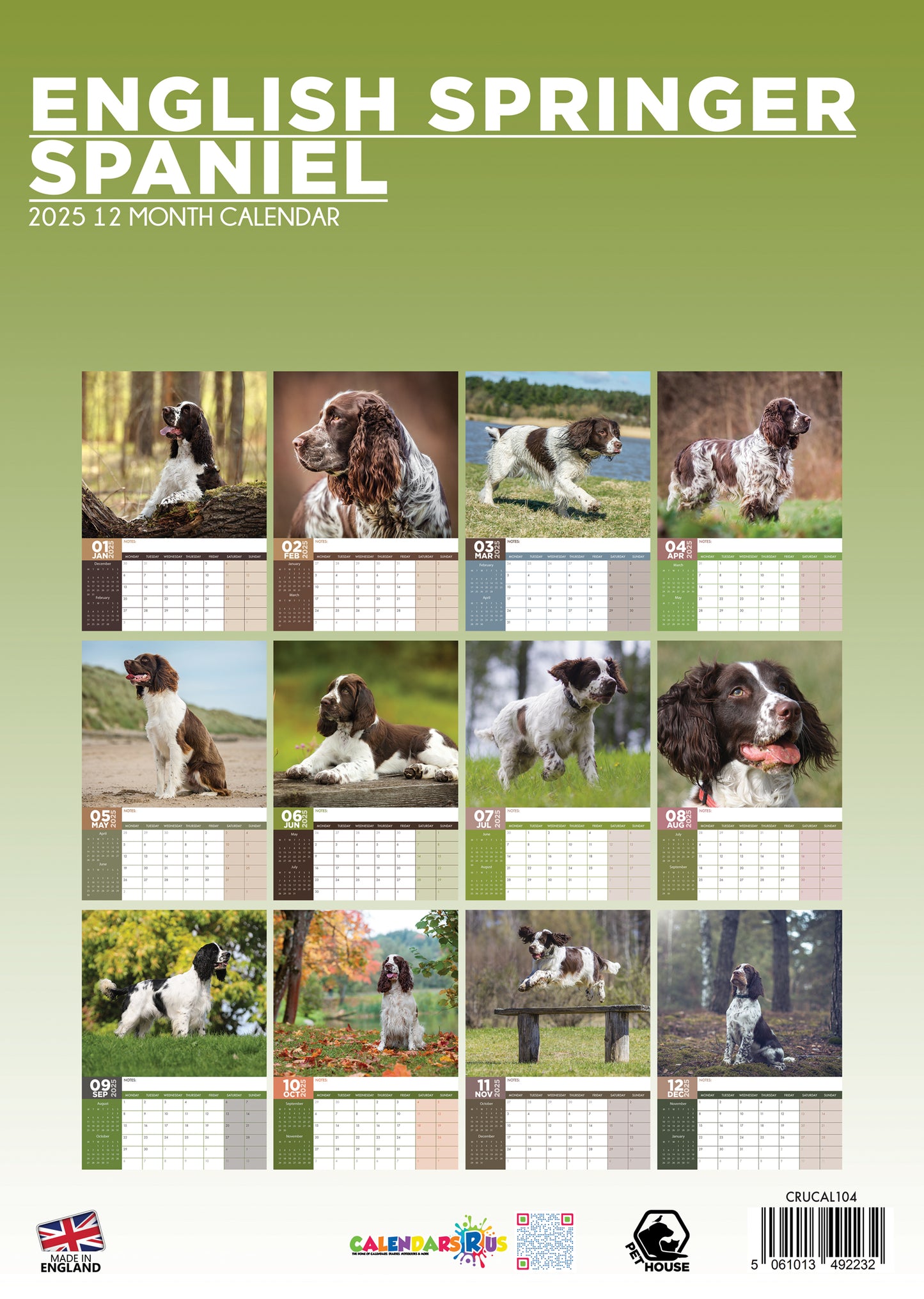 English Springer Spaniel Calendar 2025